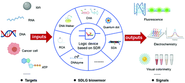 Graphical abstract: Boolean logic gate based on DNA strand displacement for biosensing: current and emerging strategies