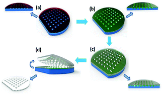 Graphical abstract: A nanostructured anti-biofilm surface widens the efficacy against spindle-shaped and chain-forming rod-like bacteria