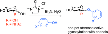 Graphical abstract: Scope of the DMC mediated glycosylation of unprotected sugars with phenols in aqueous solution