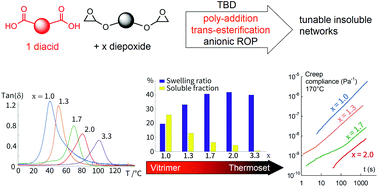 Graphical abstract: Dicarboxylic acid-epoxy vitrimers: influence of the off-stoichiometric acid content on cure reactions and thermo-mechanical properties