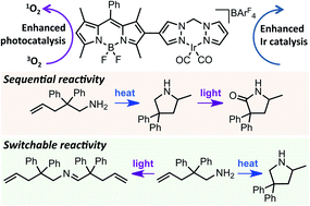 Graphical abstract: Development of tethered dual catalysts: synergy between photo- and transition metal catalysts for enhanced catalysis