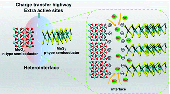Graphical abstract: Tailored nanoscale interface in a hierarchical carbon nanotube supported MoS2@MoO2-C electrode toward high performance sodium ion storage