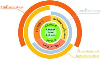 Graphical abstract: Chemical and physical chitosan hydrogels as prospective carriers for drug delivery: a review