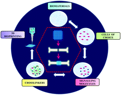 Graphical abstract: An insight into cell-laden 3D-printed constructs for bone tissue engineering