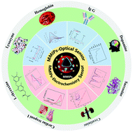 Graphical abstract: Application progress of magnetic molecularly imprinted polymers chemical sensors in the detection of biomarkers