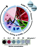 Graphical abstract: Thiol-mediated etching of gold nanorods as a neoteric strategy for room-temperature and multicolor detection of nitrite and nitrate