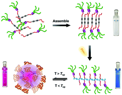 Graphical abstract: Dendronized polydiacetylenes via photo-polymerization of supramolecular assemblies showing thermally tunable chirality