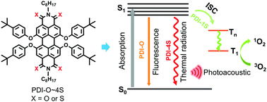 Graphical abstract: A facile design of thio-perylenediimides with controllable fluorescent, photodynamic and photothermal effects towards cancer theranostics