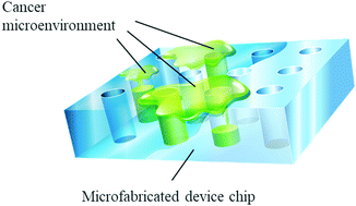 Graphical abstract: Cancer diagnosis and analysis devices based on multimolecular crowding