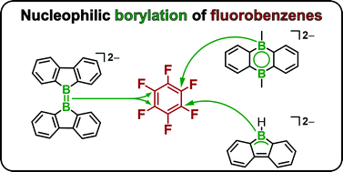 Graphical abstract: Nucleophilic borylation of fluorobenzenes with reduced arylboranes