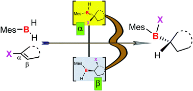 Graphical abstract: Hydroboration of vinyl halides with mesitylborane: a direct access to (mesityl)(alkyl)haloboranes