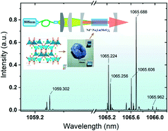 Graphical abstract: Crystal growth and properties characterization of Nd3+:Na5Lu(MoO4)4 for continuous multi-wavelength NIR laser emission