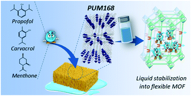 Graphical abstract: Stabilization of liquid active guests via nanoconfinement into a flexible microporous metal–organic framework