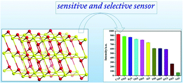 Graphical abstract: Series of highly stable Cd(ii)-based MOFs as sensitive and selective sensors for detection of nitrofuran antibiotic
