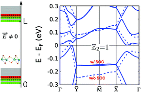 Graphical abstract: Gate-tunable superconductivity and charge-density wave in monolayer 1T′-MoTe2 and 1T′-WTe2