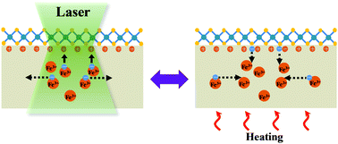 Graphical abstract: Reversible photoluminescence modulation of monolayer MoS2 on a ferroelectric substrate by light irradiation and thermal annealing