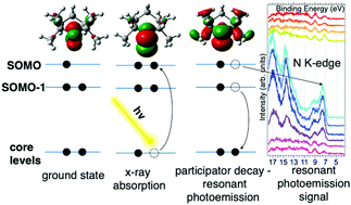 Graphical abstract: Frontier orbital stability of nitroxyl organic radicals probed by means of inner shell resonantly enhanced valence band photoelectron spectroscopy