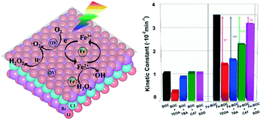 Graphical abstract: Efficient photodegradation of 2-chloro-4-nitrophenol over Fe-doped BiOCl nanosheets with oxygen vacancy