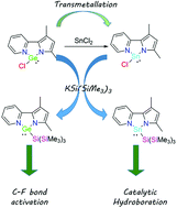 Graphical abstract: Pyridylpyrrolido ligand in Ge(ii) and Sn(ii) chemistry: synthesis, reactivity and catalytic application