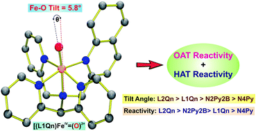 Graphical abstract: Hydrogen-atom and oxygen-atom transfer reactivities of iron(iv)-oxo complexes of quinoline-substituted pentadentate ligands