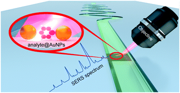 Graphical abstract: Microfluidics and surface-enhanced Raman spectroscopy, a win–win combination?