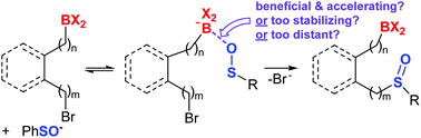 Graphical abstract: A DFT examination of the role of proximal boron functionalities in the S-alkylation of sulfenic acid anions