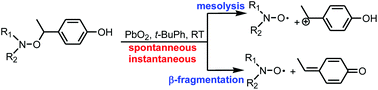 Graphical abstract: Homolysis/mesolysis of alkoxyamines activated by chemical oxidation and photochemical-triggered radical reactions at room temperature