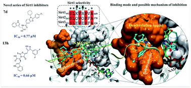 Graphical abstract: Design and synthesis of amino acid derivatives of substituted benzimidazoles and pyrazoles as Sirt1 inhibitors