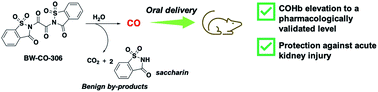 Graphical abstract: Adapting decarbonylation chemistry for the development of prodrugs capable of in vivo delivery of carbon monoxide utilizing sweeteners as carrier molecules