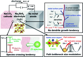 Graphical abstract: Theoretical study on stability and ion transport property with halide doping of Na3SbS4 electrolyte for all-solid-state batteries