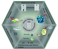 Graphical abstract: Perylene diimide-based treatment and diagnosis of diseases