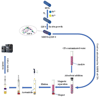 Graphical abstract: Zeolitic imidazolate framework-8 modified magnetic halloysite nanotube-based solid phase extraction for the analysis of carbamate pesticides by ultra-high performance liquid chromatography tandem mass spectrometry