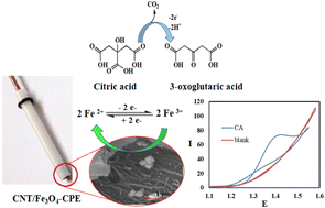 Graphical abstract: Selective and ultrasensitive citric acid assay in urine samples using a MWCNT/Fe3O4 nanoparticle-modified carbon paste electrode