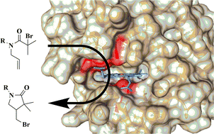 Graphical abstract: Engineered myoglobin as a catalyst for atom transfer radical cyclisation