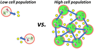 Graphical abstract: Quorum sensing communication between lipid-based artificial cells