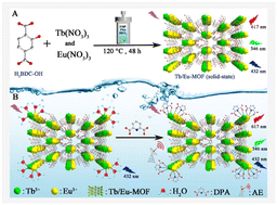 Graphical abstract: A multi-ratiometric fluorescence sensor integrated intrinsic signal amplification strategy for a sensitive and visual assay of the anthrax biomarker based on a bimetallic lanthanide metal–organic framework