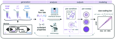 Graphical abstract: Systematic characterization of effect of flow rates and buffer compositions on double emulsion droplet volumes and stability