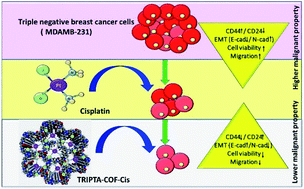 Graphical abstract: A conjugated 2D covalent organic framework as a drug delivery vehicle towards triple negative breast cancer malignancy