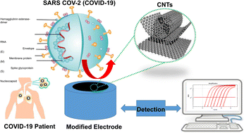 Graphical abstract: Recent trends in carbon nanotube (CNT)-based biosensors for the fast and sensitive detection of human viruses: a critical review