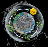 Graphical abstract: Versatile fabrication of metal sulfide supraparticles by an in situ decomposition–assembly strategy