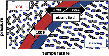 Graphical abstract: Polymorphism mediated by electric fields: a first principles study on organic/inorganic interfaces