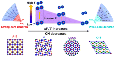 Graphical abstract: Apex hydrogen bonds in dendron assemblies modulate close-packed mesocrystal structures