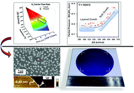 Graphical abstract: Mechanistic insights into supersaturation mediated large area growth of hexagonal boron nitride for graphene electronics