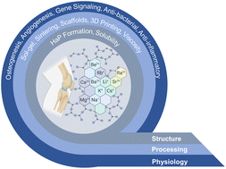 Graphical abstract: The unexplored role of alkali and alkaline earth elements (ALAEs) on the structure, processing, and biological effects of bioactive glasses