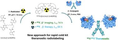 Graphical abstract: Siderocalin fusion proteins enable a new 86Y/90Y theranostic approach