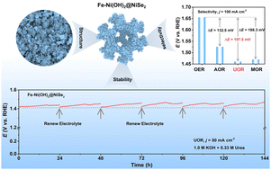 Graphical abstract: Iron-optimized oxygen vacancy concentration to strengthen the electrocatalytic ability of the urea oxidation reaction