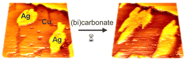 Graphical abstract: In situ scanning tunneling microscopy studies of carbonate-induced restructuring of Ag-decorated Cu(100) electrodes