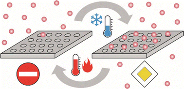 Graphical abstract: Anti-Arrhenius passage of gaseous molecules through nanoporous two-dimensional membranes