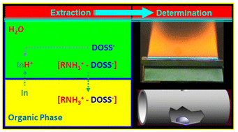 Graphical abstract: Taking a deeper look into the roles of amines in atomic absorption spectrometry