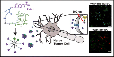 Graphical abstract: Efficient and highly biocompatible 8-arm PEG-Chlorin e6 nanosystems for 2-photon photodynamic therapy of adrenergic disorders